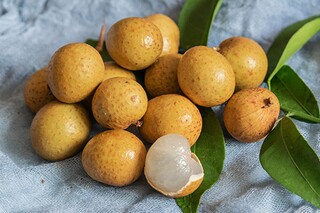 坚持就是胜利 _ _作文_坚持就是胜利作文开头