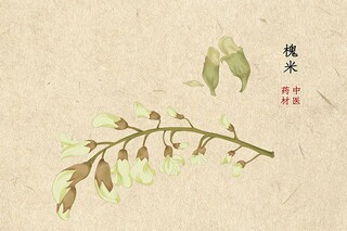 元旦节主题作文_元旦节为主题的作文