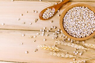 新生开学班会教案_新生开学班会流程怎么写