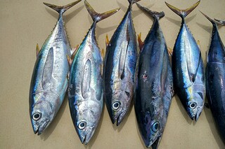 中秋佳节微信祝福语（中秋佳节微信祝福语简短）