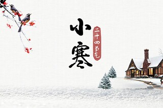 冬季运动会的作文800字（冬季运动会的作文800字怎么写）