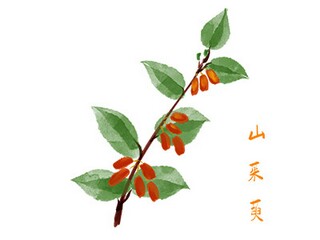 春天柳树的作文（春天柳树的作文300字）