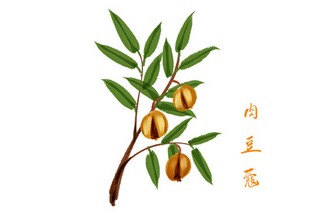 中学开学演讲稿学生（中学生开学演讲稿3分钟）