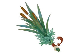 大班社会活动《民族大家庭》课件_民族大家庭大班教案逐字稿