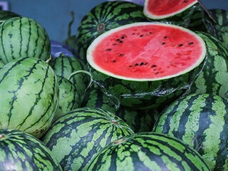 给上级领导生日祝福语（给上级领导的生日祝福语）