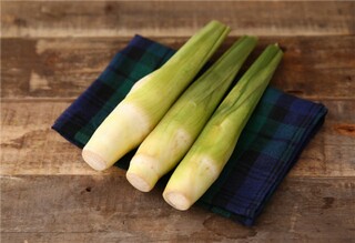 夏雨雨的作文400字（夏雨雨的作文400字怎么写）