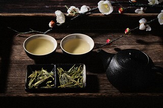 看花的诗句（看花的诗句古诗）
