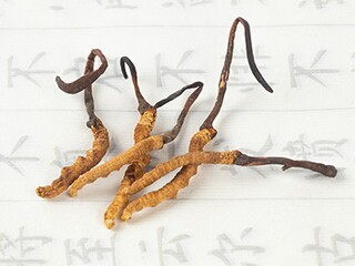 培训会议简单主持词（培训会议简单主持词范文）