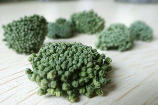 大一学习总结（大一下学期个人总结）