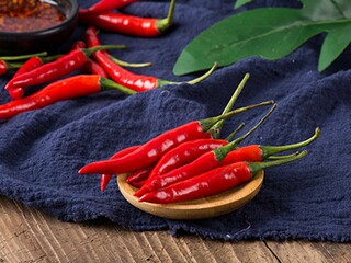 母亲节短信祝福语短句_母亲节 短信