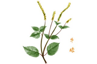 写秋天的温柔暖心文案（适合写秋天的文案）