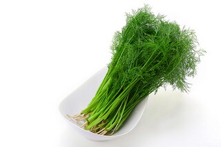 端午节吃粽子的英语作文_端午节吃粽子英语介绍