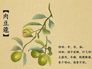 动作描写语段摘抄_动作描写精彩句段