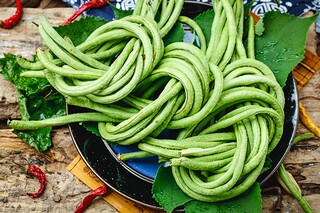狼王梦读后感400字_狼王梦读后感400字优秀