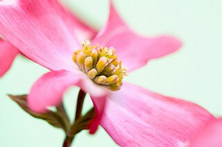 描写农家田园风光的古诗（描写农家田园风光的古诗词）