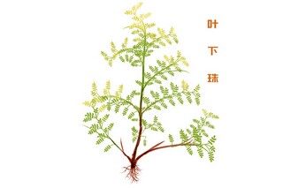 “道德的力量”网络直播观看感悟