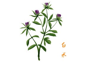 准备美文（准备作文怎么写）