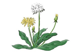 圣诞朋友圈文案（圣诞朋友圈文案图片）