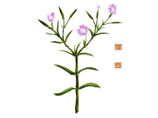 情侣说说（情侣说说一人一句配对）
