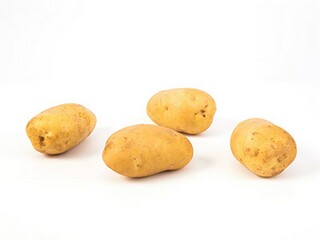 感恩的优美句子