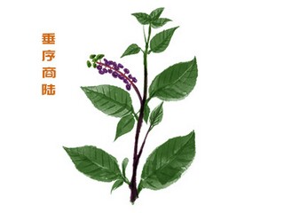 自编劳动节诗歌_自创劳动诗歌