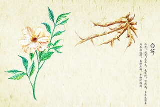 地球一小时熄灯活动宣传标语（2025年地球熄灯一小时活动主题）