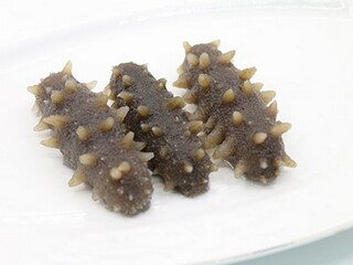 描写保护动物的诗句_关于保护动物的诗句名言