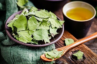 《草莓》同步阅读《绿色的联想》附答案（绿色的草莓是什么味道）