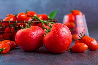 含有相待的四字成语与解释（含有相待的四字成语与解释有关）