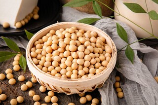 冬,宁静的守望网络散文_守望宁静的意思