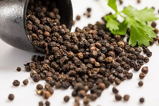 初中语文七年级上册的教学计划_七年级上册语文教学计划及进度表免费
