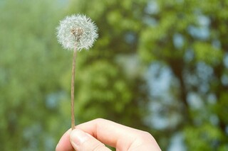 《曹冲称象》说课稿（曹冲称象优秀说课稿第一课时）