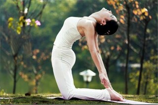 粮食浪费调查报告_粮食浪费调查报告怎么写