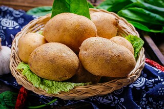 写雾的作文_四年级写雾的作文