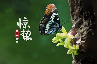 经典劳动节快乐祝福句子_劳动愉快的祝福语