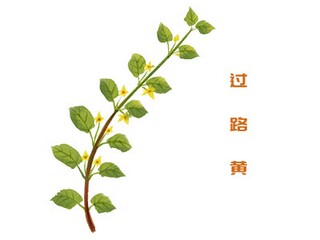 我真了不起作文500字（我真了不起作文500字优秀范文）