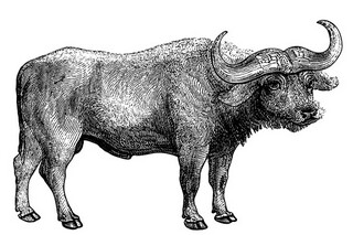 情人节简短说说_情人节简单说说