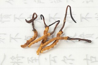 勃朗宁名言_勃朗宁名言名句