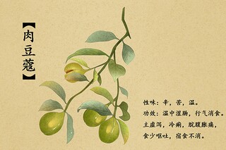 轻轻照耀 阅读答案_轻轻照耀阅读答案