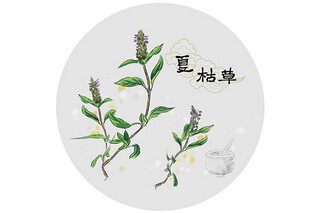 立冬快乐的祝福语45条（立冬快乐!）