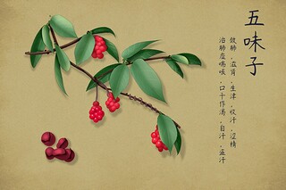 拖地作文600字_拖地的作文