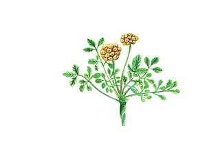 2025年最新版大一入党申请书_大一入党申请书范文大全