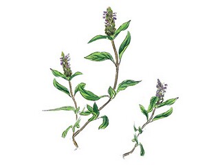 教师节演讲稿_教师节演讲稿3分钟五篇
