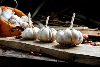 2025新学期安全开学第一课有感_2025开学安全第一课心得