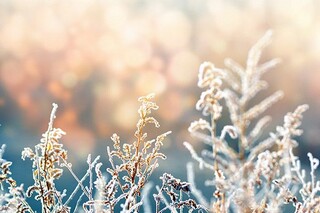 成人教育信息登记表自我鉴定（成人教育信息登记表自我鉴定怎么写）