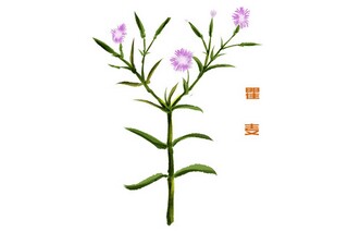 国庆节诗歌