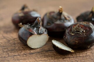 描写芍药花的优美诗句（关于描写芍药花的诗句）