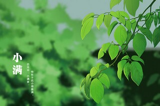 描写火烧云的现代诗句_关于火烧云的现代诗