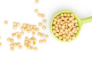 2025年度教师党员思想汇报_教师2025年入党思想汇报