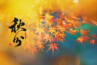 2025春分寄语_春分贺语
